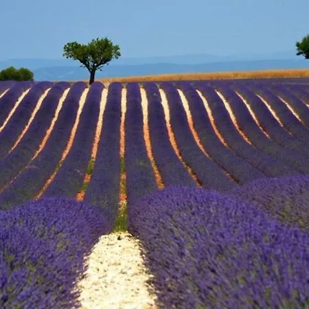 Forcal Forcalquier
